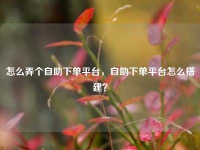 怎么弄个自助下单平台,自助下单平台怎么搭建?