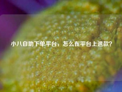 小八自助下单平台,怎么在平台上退款?