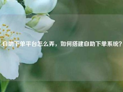 自助下单平台怎么弄,如何搭建自助下单系统?