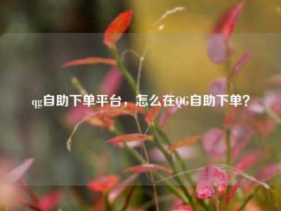 qg自助下单平台,怎么在QG自助下单?