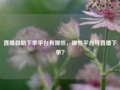 直播自助下单平台有哪些，哪些平台可直播下单？