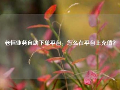 老恒业务自助下单平台,怎么在平台上充值?