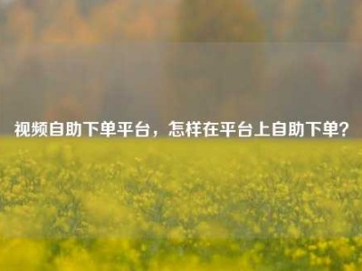 视频自助下单平台,怎样在平台上自助下单?