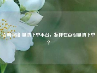 百明网络 自助下单平台，怎样在百明自助下单？