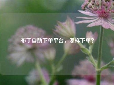 布丁自助下单平台,怎样下单?