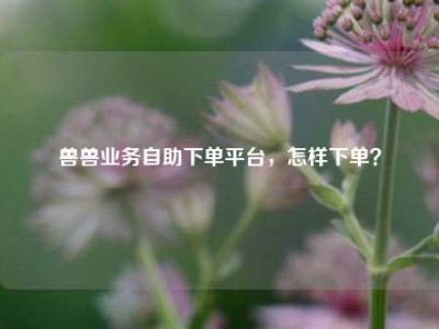 兽兽业务自助下单平台,怎样下单?