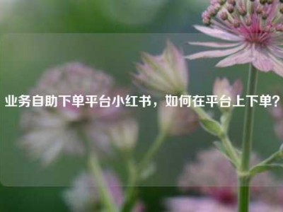 业务自助下单平台小红书,如何在平台上下单?