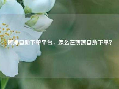薄凉自助下单平台，怎么在薄凉自助下单？