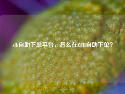 zfb自助下单平台,怎么在ZFB自助下单?