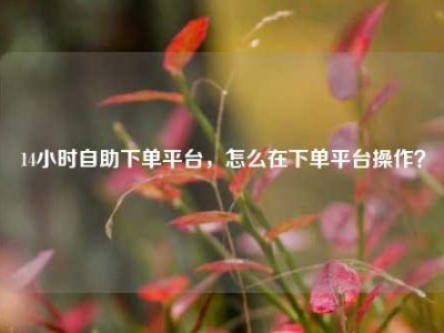 14小时自助下单平台,怎么在下单平台操作?