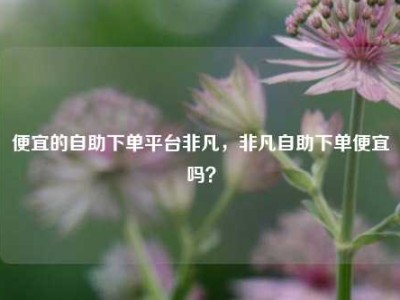 便宜的自助下单平台非凡，非凡自助下单便宜吗？