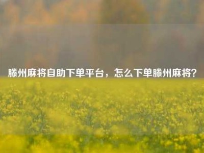 滕州麻将自助下单平台，怎么下单滕州麻将？