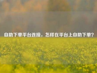 自助下单平台连接,怎样在平台上自助下单?