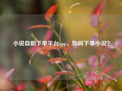 小说自助下单平台app,如何下单小说?