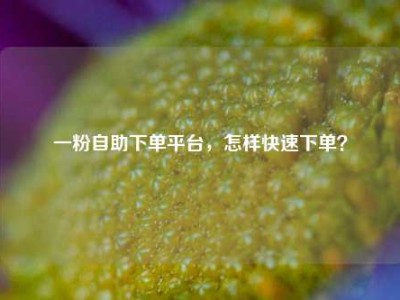 一粉自助下单平台,怎样快速下单?