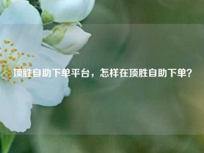 顶胜自助下单平台,怎样在顶胜自助下单?