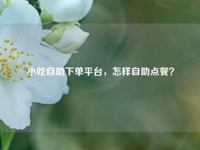 小吃自助下单平台，怎样自助点餐？