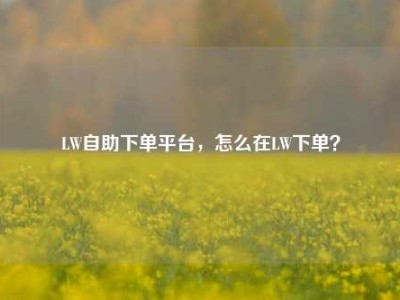 LW自助下单平台,怎么在LW下单?