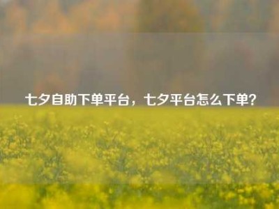 七夕自助下单平台，七夕平台怎么下单？