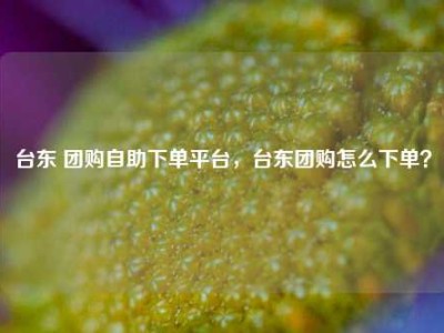 台东 团购自助下单平台,台东团购怎么下单?