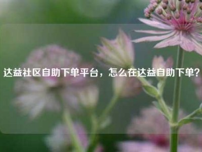 达益社区自助下单平台,怎么在达益自助下单?