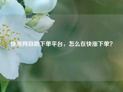 快涨网自助下单平台,怎么在快涨下单?