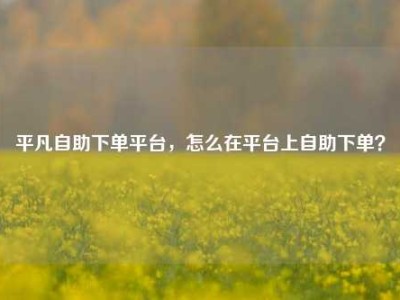 平凡自助下单平台，怎么在平台上自助下单？