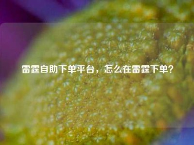 雷霆自助下单平台,怎么在雷霆下单?