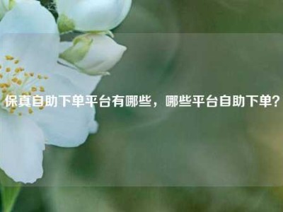 保真自助下单平台有哪些，哪些平台自助下单？
