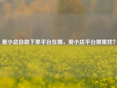 爱小店自助下单平台在哪,爱小店平台哪里找?