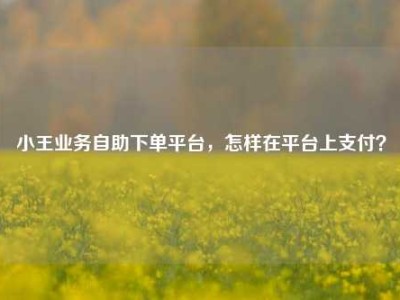 小王业务自助下单平台，怎样在平台上支付？