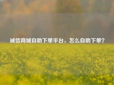 诚信商城自助下单平台,怎么自助下单?