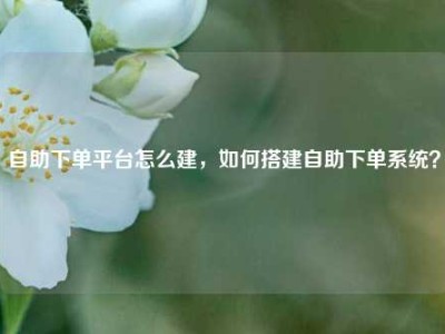 自助下单平台怎么建，如何搭建自助下单系统？