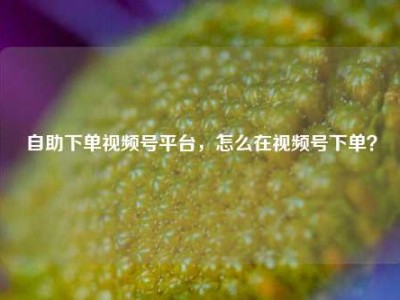 自助下单视频号平台，怎么在视频号下单？