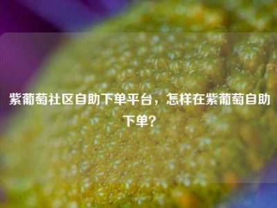 紫葡萄社区自助下单平台,怎样在紫葡萄自助下单?