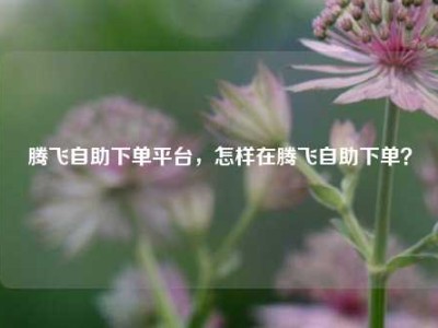腾飞自助下单平台,怎样在腾飞自助下单?