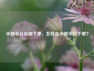 小熊平台自助下单,怎样在小熊平台下单?