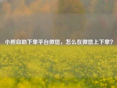 小熊自助下单平台微信,怎么在微信上下单?